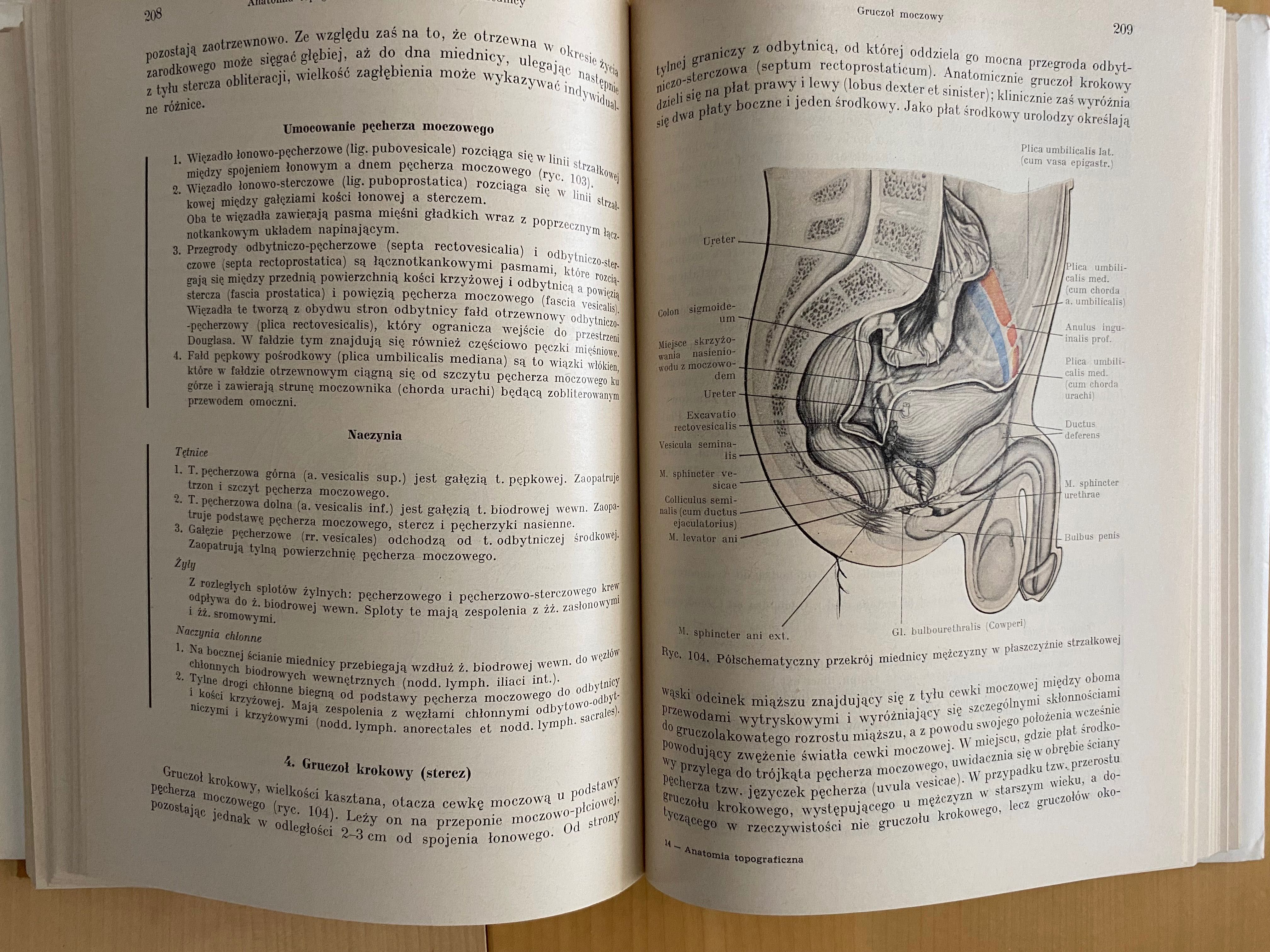 Anatomia topograficzna Johannes W. Rohen