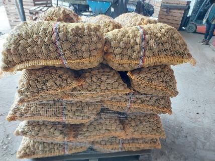 Ziemniaki o wielkosci sadzeniaka, transport, rozladunek w cenie