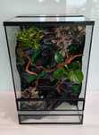 Terrarium z wodospadem, ledami dla gekona orzęsionego AquaWaves TW69WB