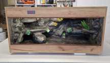 Terrarium dla gekona agamy dostępne od ręki 3 lata gwarancji fv nowe