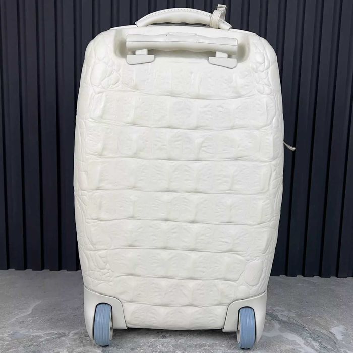 Alexander mcqueen x samsonite 55/20 рідкісна валіза оригінал