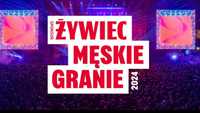 Bilety Męskie Granie - Wrocław (02.08.2024 r.)