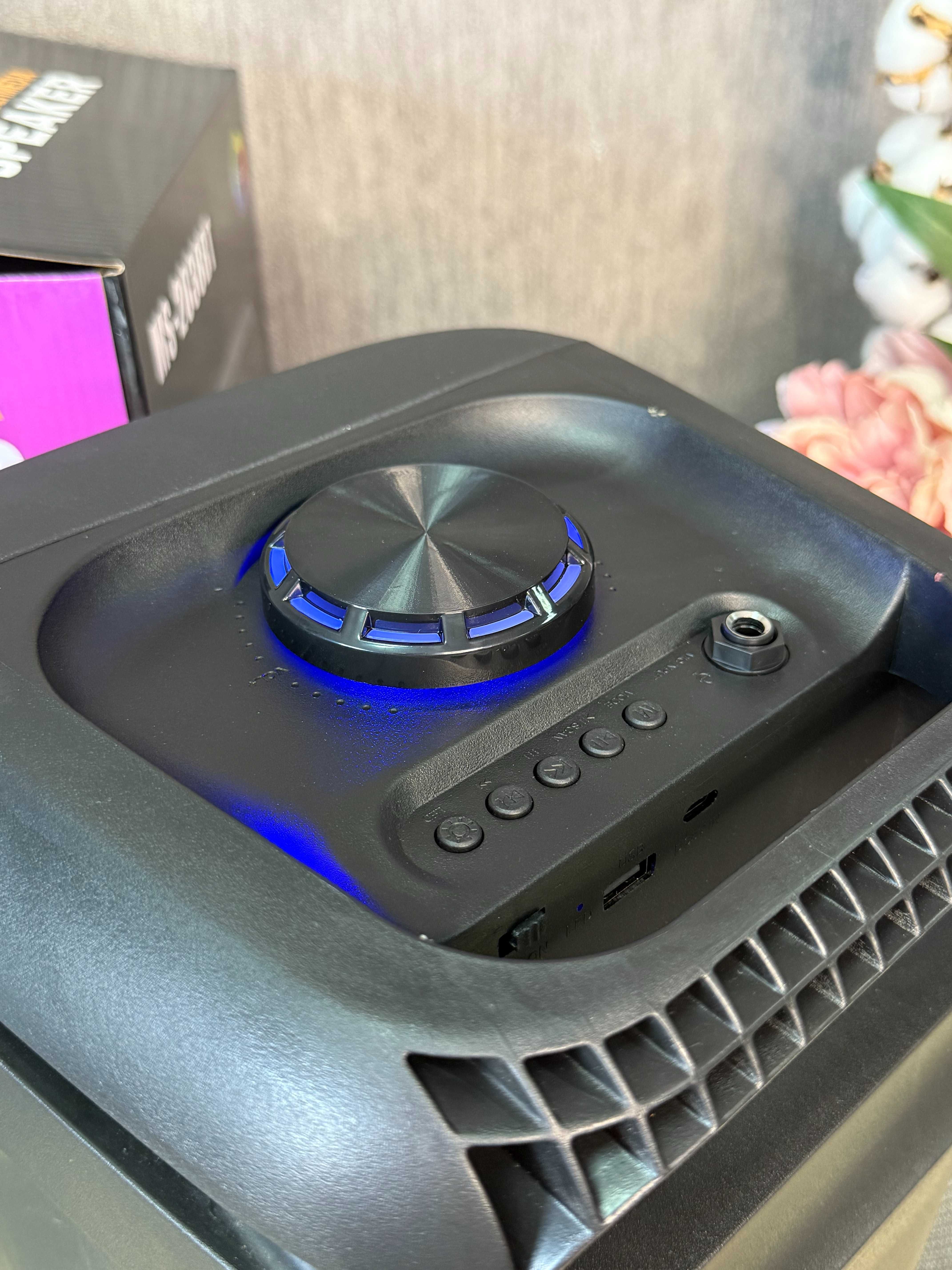 Портативная акустика-чемодан MS-2039BT 50 Вт с Bluetooth, FM-радио