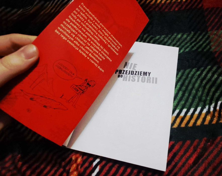 Nie przejdziemy do historii