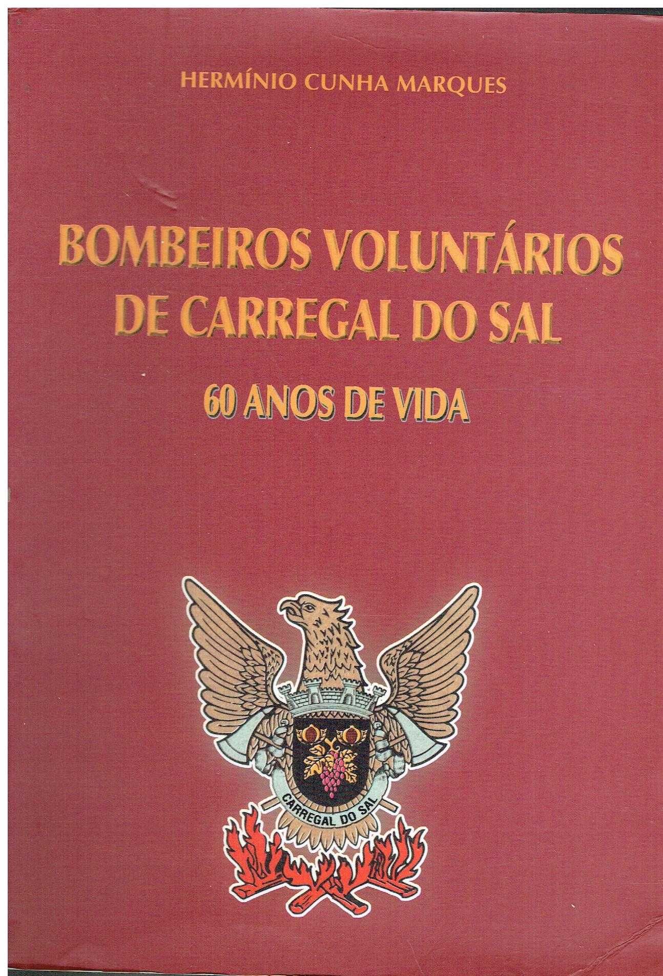 10108

Bombeiros Voluntários de Carregal do Sal