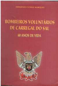 10108

Bombeiros Voluntários de Carregal do Sal