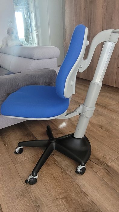 Ergodesk comf-pro. Ergonomiczne krzesło rosnące z dzieckiem