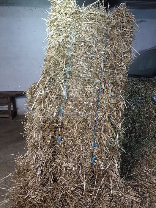 Palha de Azevem de Qualidade