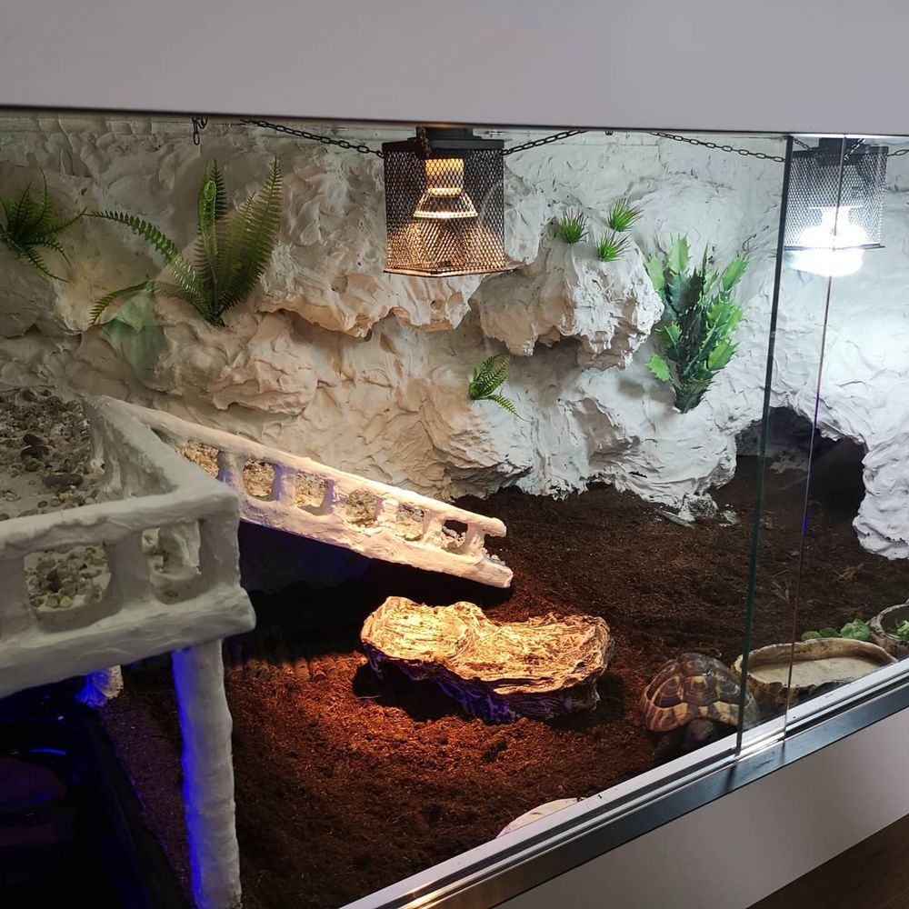 Terrarium dla: żółwia, jaszczurki itp.  151x61x67