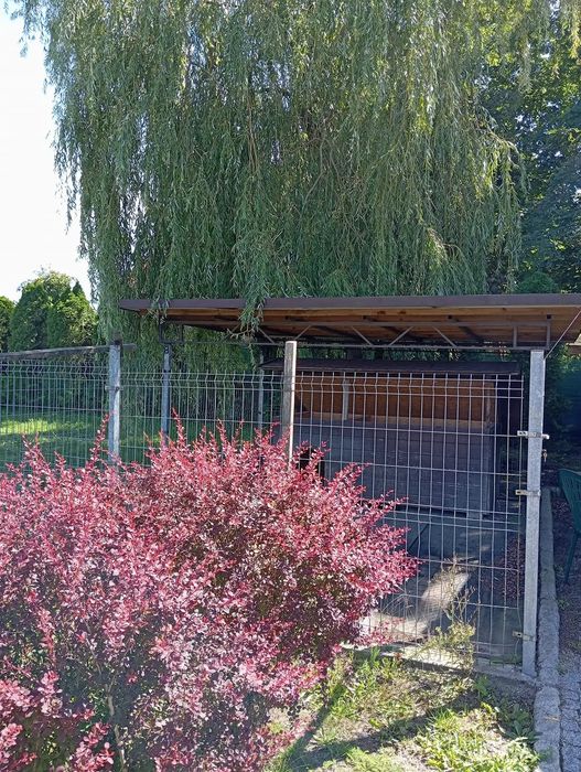 Boks buda dla psa ocieplana wełną mineralną kojec