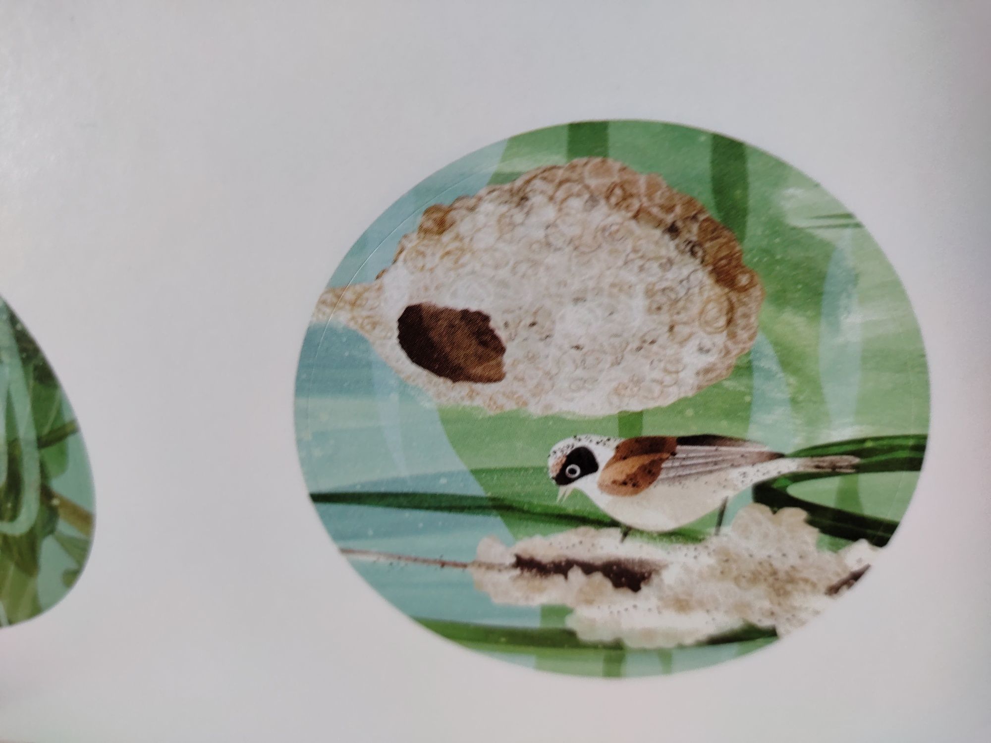 Książka z naklejkami Mój atlas roślin polski