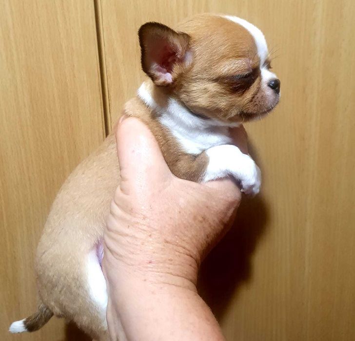 Дуже красиве дівча !