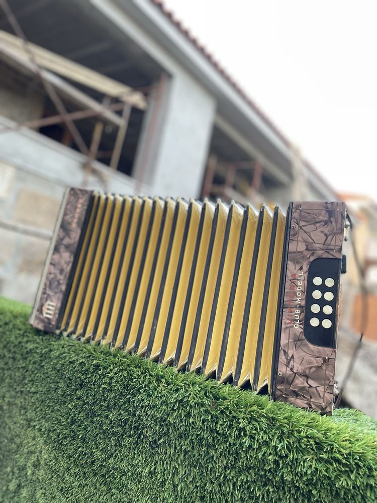 Concertina hohner