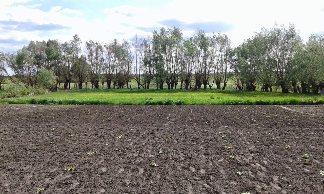 Будинок в с. Каленики, Решетилівський район, Полтавська обл.