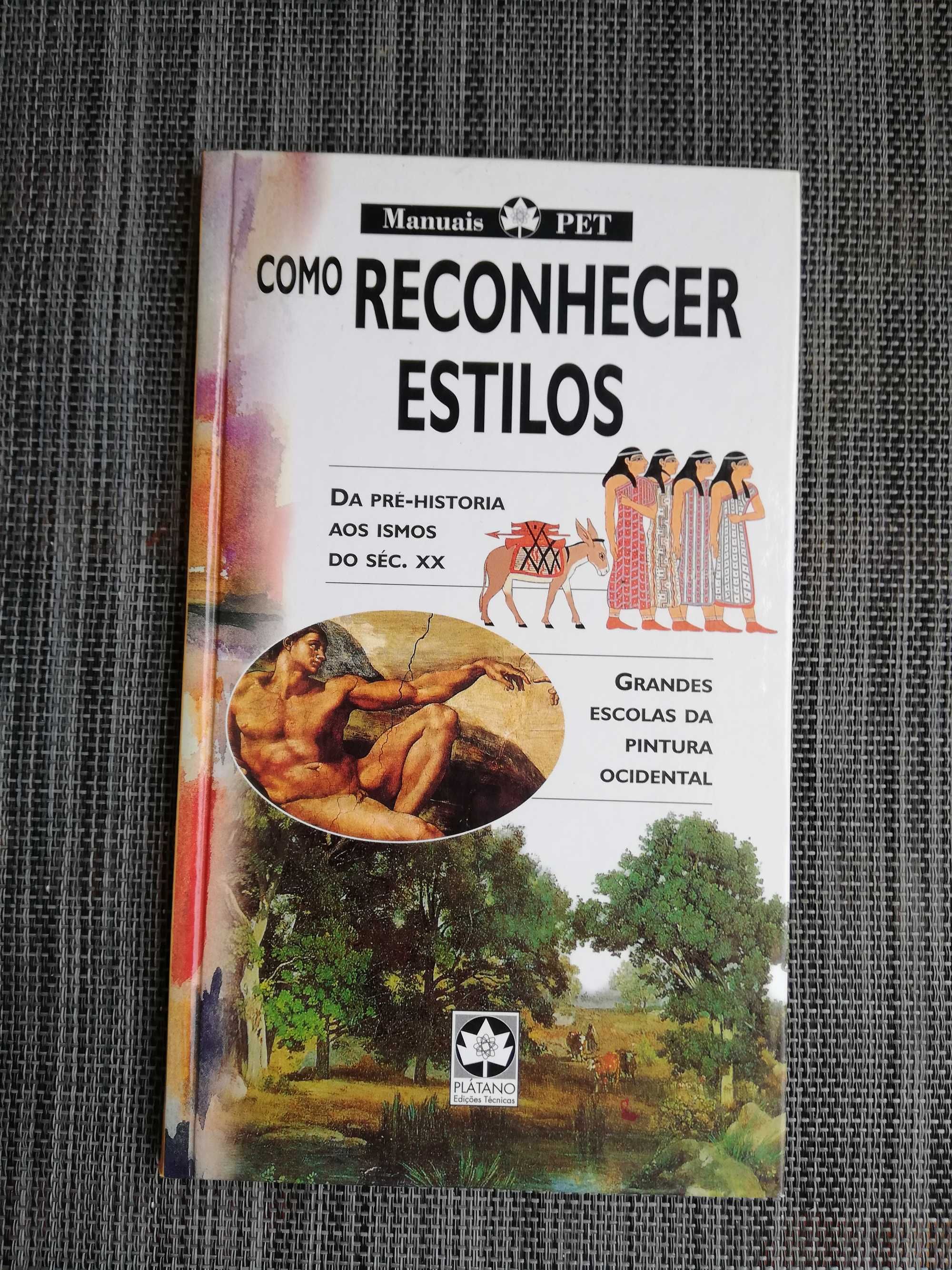Como Reconhecer Estilos (portes incluídos)