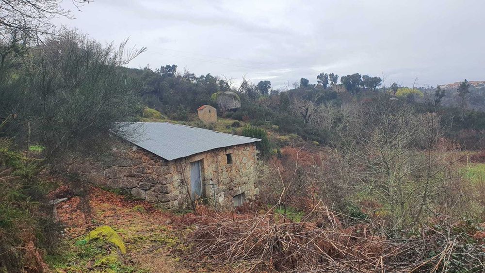 Propriedade com 4ha com Casas, Água, Vista e Muito Acolhedora