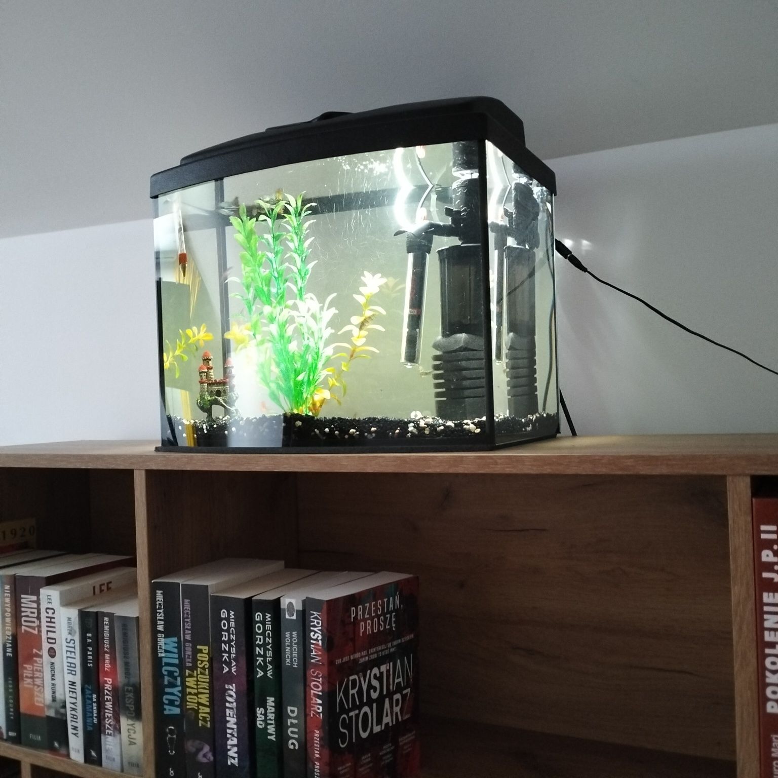 Akwarium 25l sprzedam