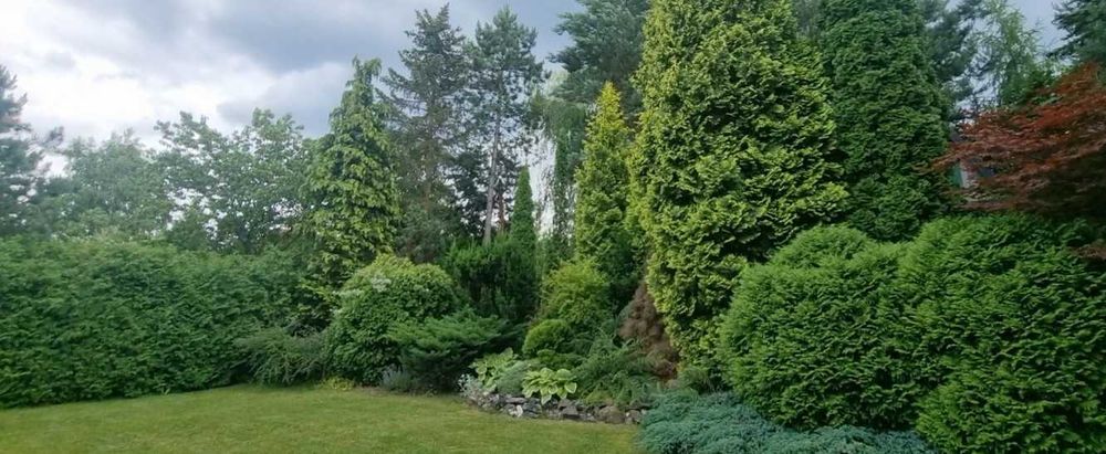 Działka ROD Tenczynek