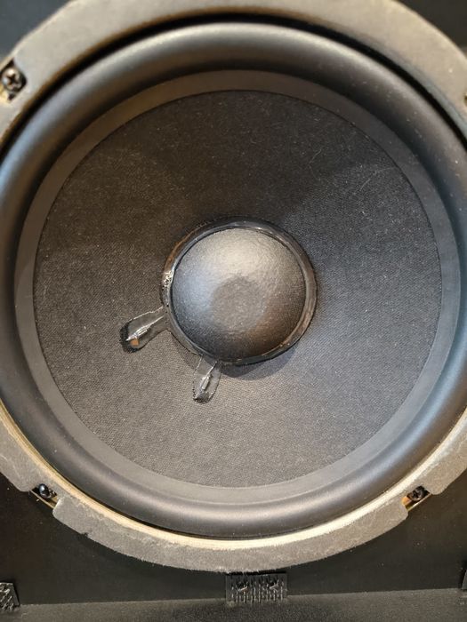 Kolumny monitory Bose 301,unikat