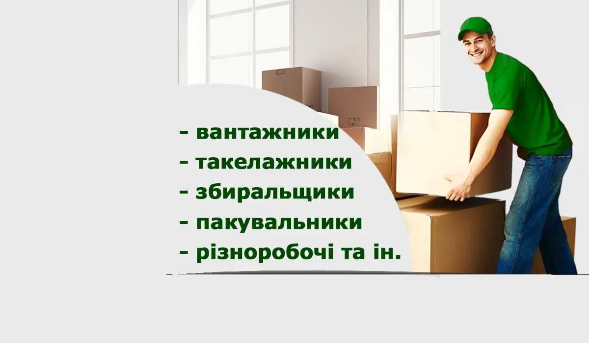 Послуги Вантажників, Вантажні перевезення