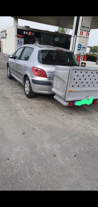 Transportadora cães