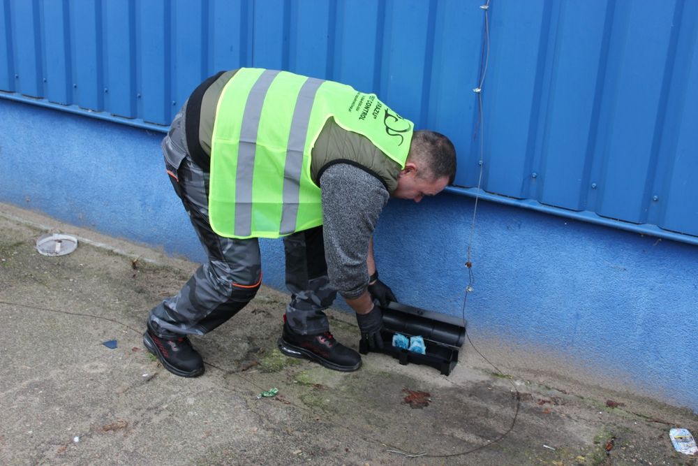 "KRAZU" Pest control Dezynfekcja, Dezynsekcja, Deratyzacja
