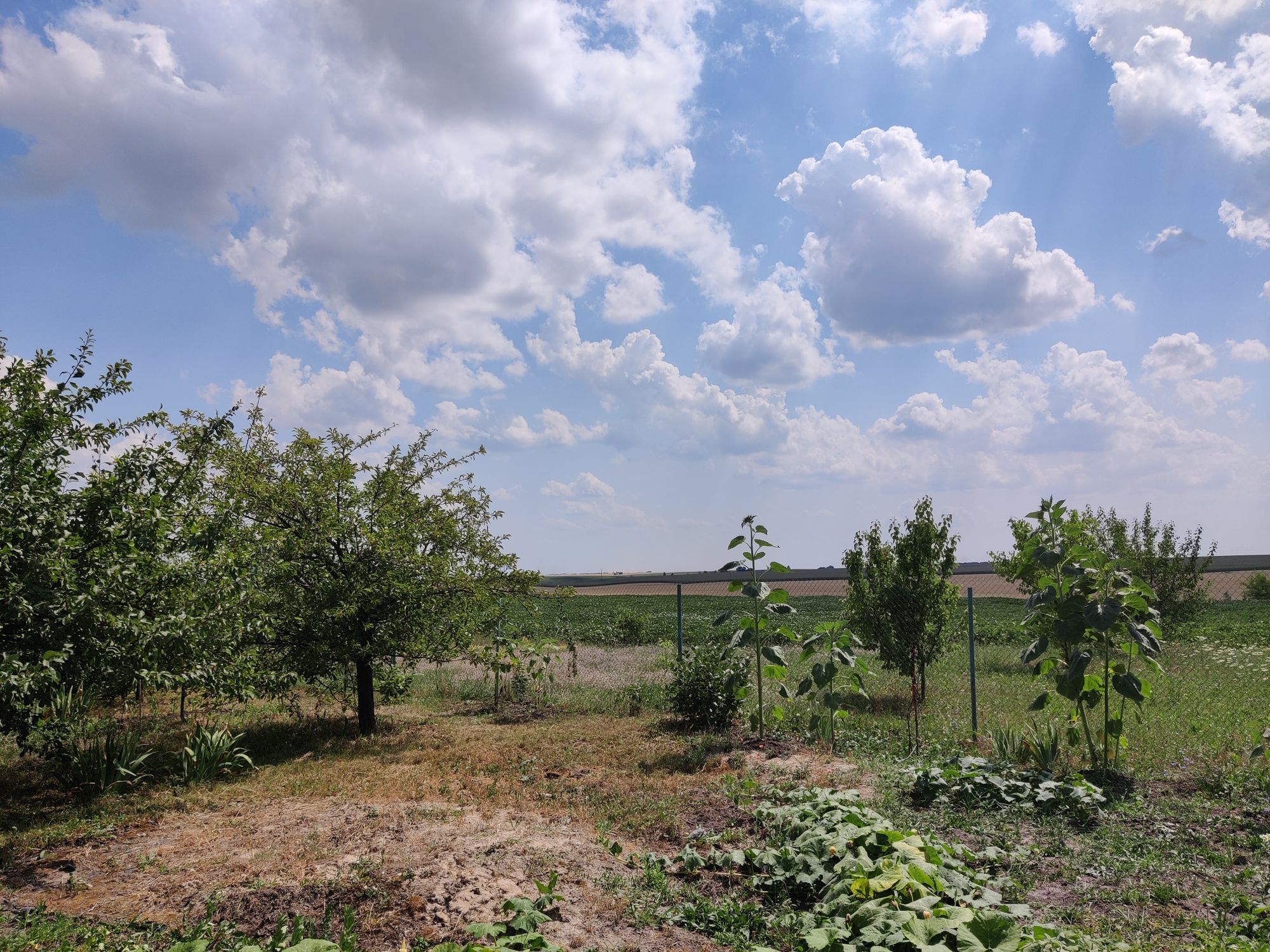 Продам гарну Садибу с.Трушки Київської області Білоцерківського району