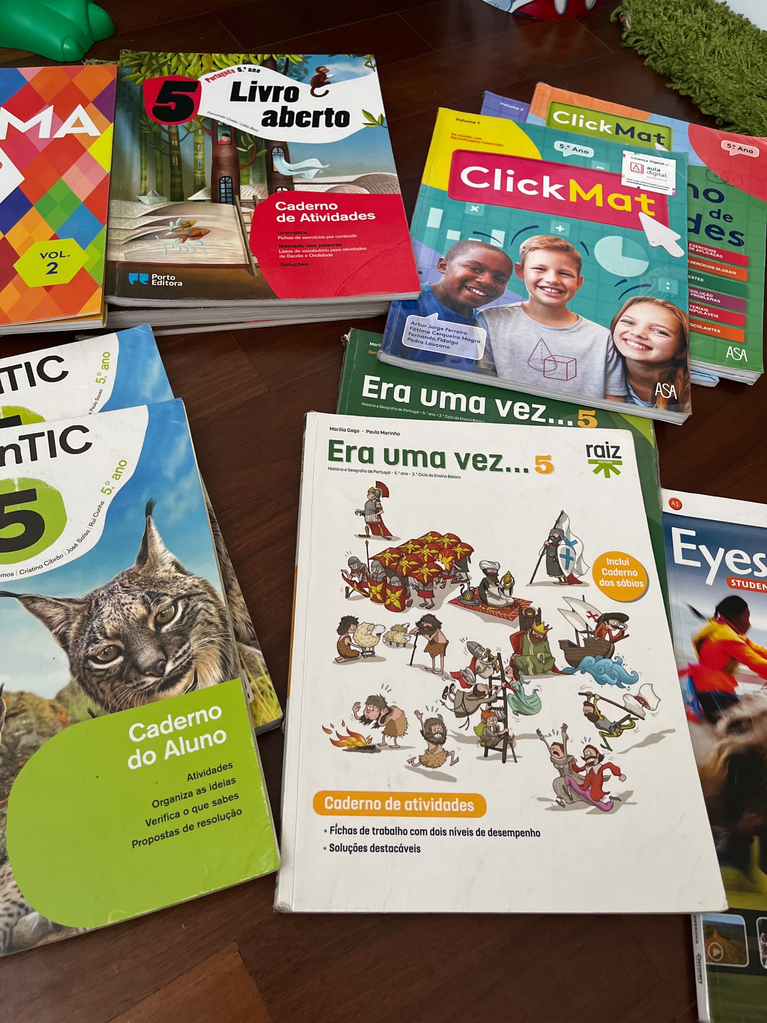 Livros escolares 5o ano
