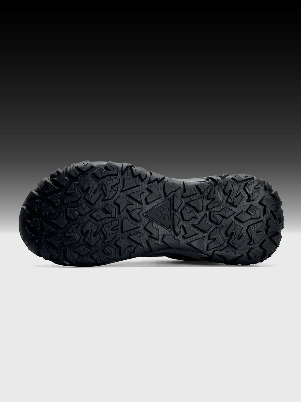 Повсякдені Чоловічі Зимові кросівки Nike ACG Mountain Fly 2 Gore-Tex
