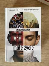 Książka „małe życie”