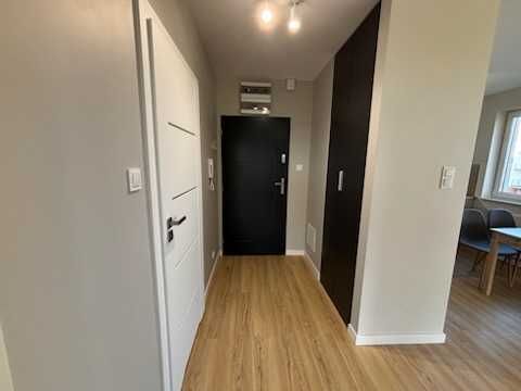 Nowe Mieszkanie do wynajęcia