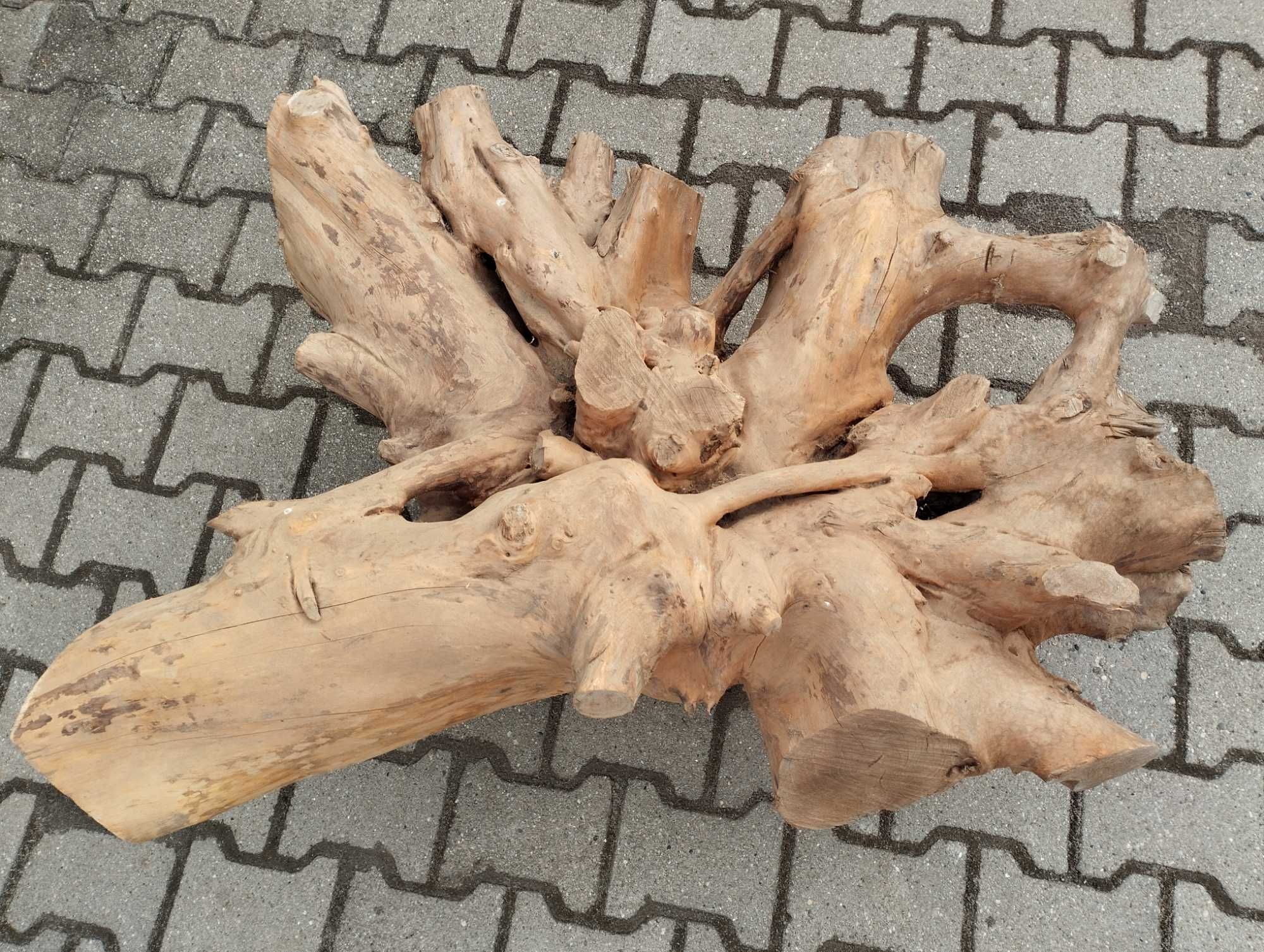 Korzeń drzewa Piękny Solidny Suchy Podstawa do stolika DIY