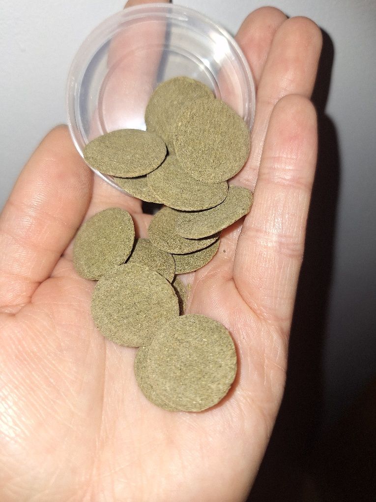 Pokarm dla glonojadów Green algae wafers Tropical