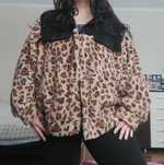 Lekka kurtka w panterkę narzutka plus size miś 4xl zapinana