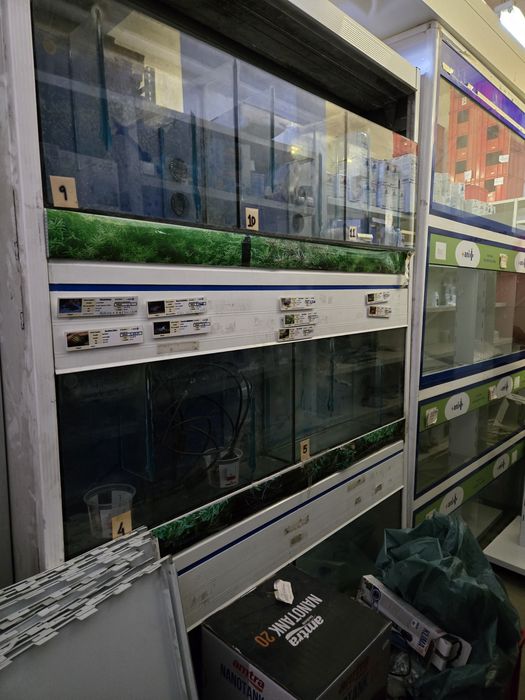 Estruturas boxes para animais