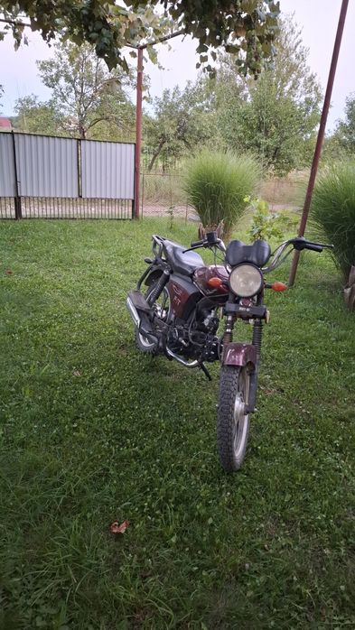 Alpha musstang 125