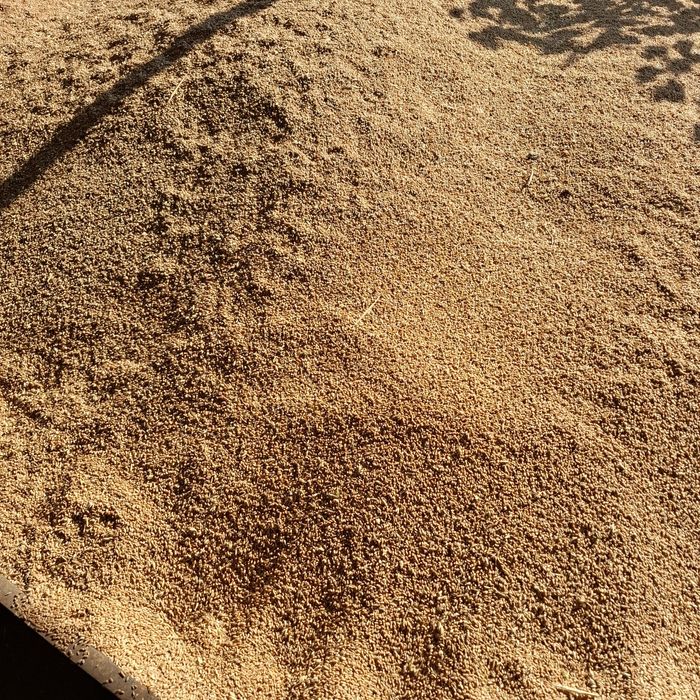 Продам  пшеницу 6 тонн.