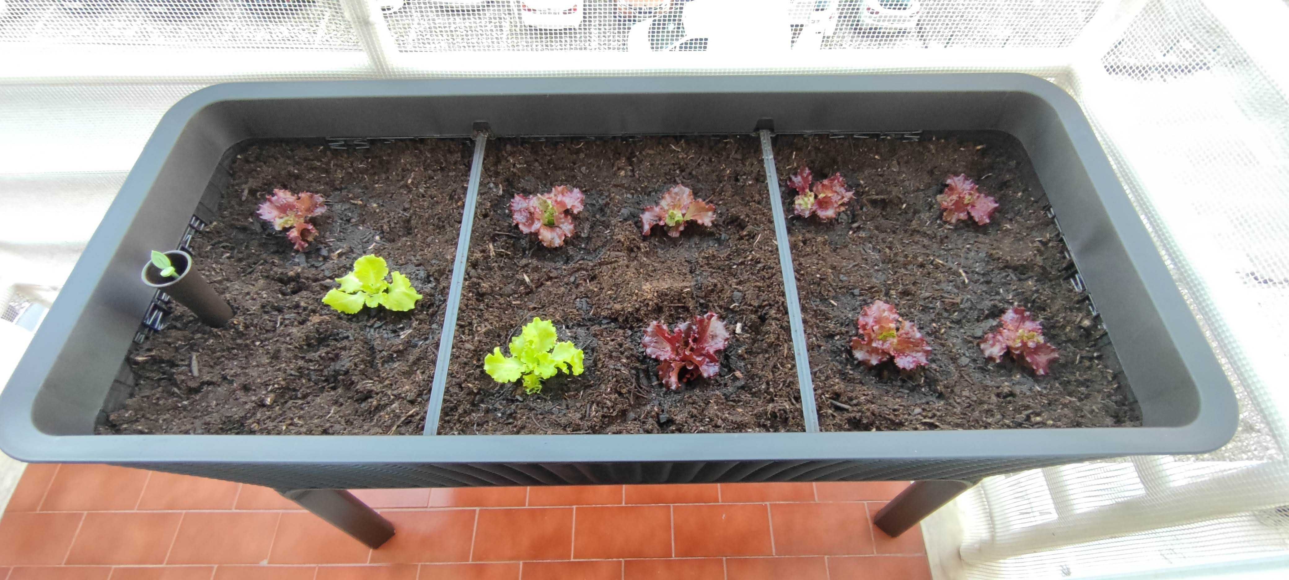 Horta Vertical EASY GROWING 113x48 - Perfeita para Espaços Pequenos!