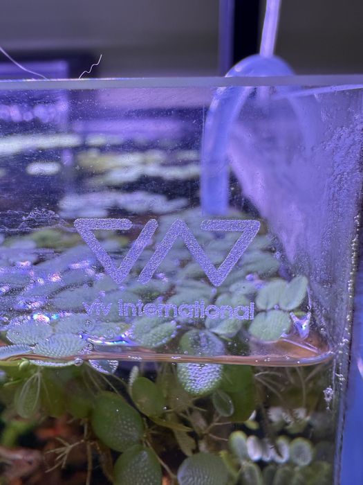 Akwarium VIV 60x40x40 96l 8 mm Filtr rośliny