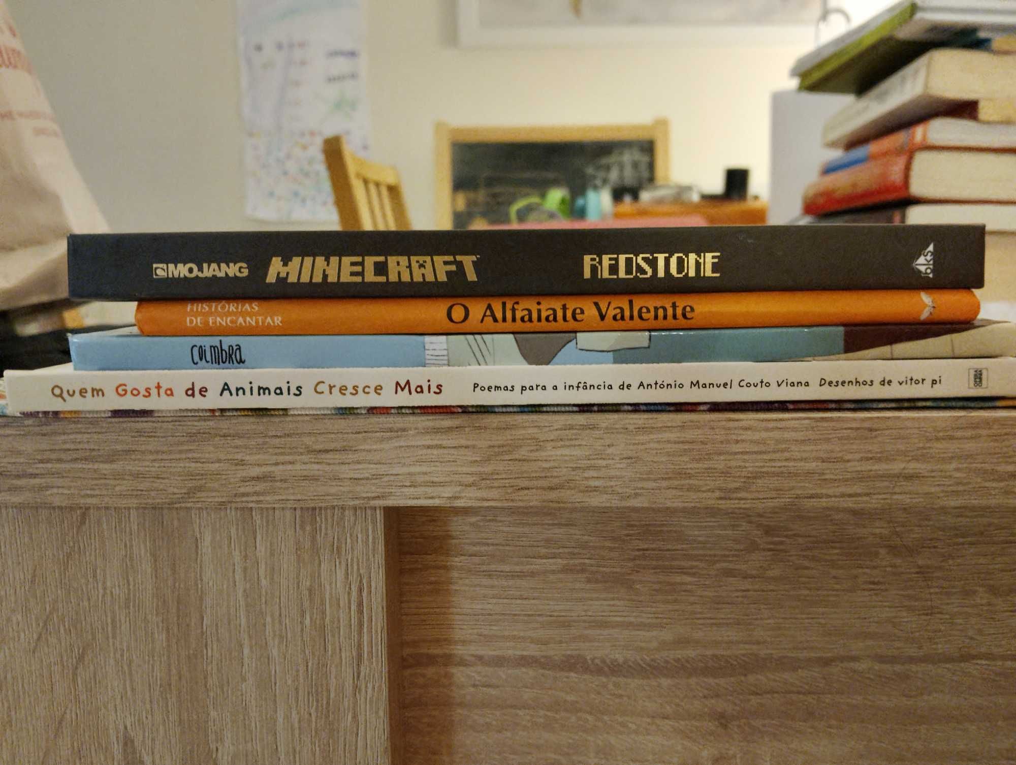 Livros infanto-juvenis diversos