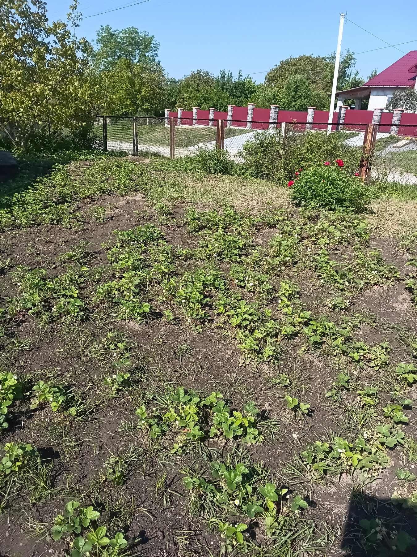 Продам хату в с. Врублівці