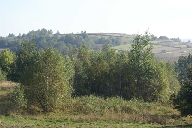 Piękna widokowa działka rolno-budowlana o powierzchni 22,44 ara