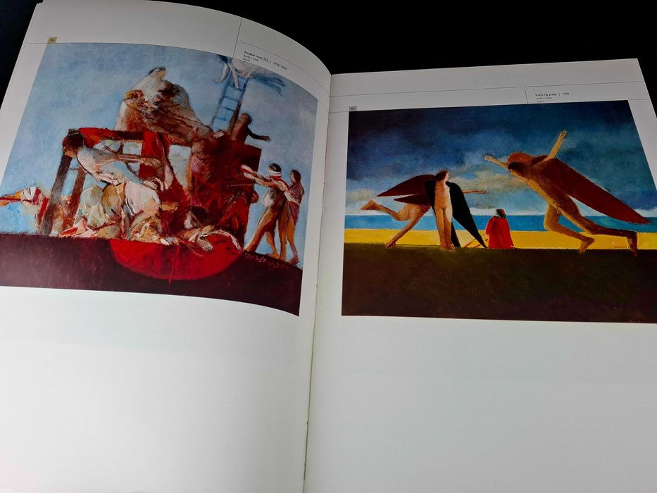 Livro Rogerio Ribeiro ICARO