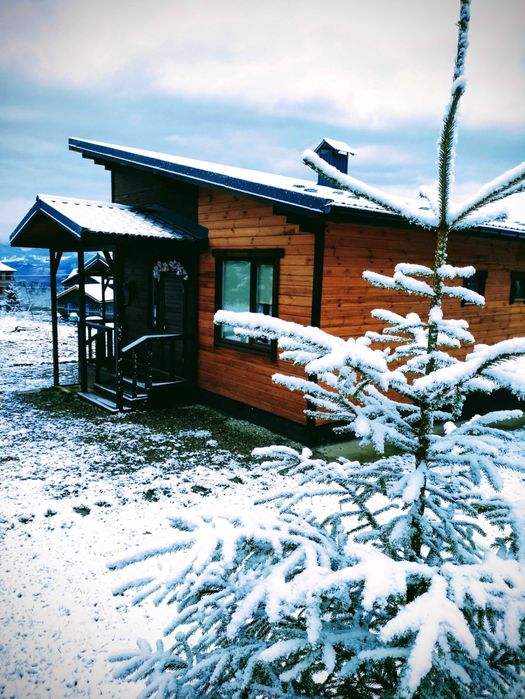 Довгострокова оренда Будинок Яблуниця Буковель