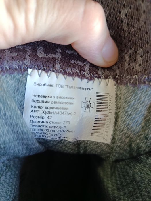 Чоловічі ботінки Talan