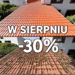 Czyszczenie, Impregnacja, Malowanie: Dachów / Elewacji / Bruku