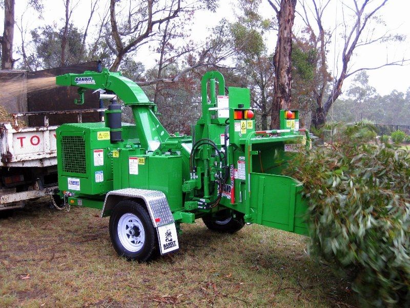 Wycinka drzew - Legionowo i okolice - najtaniej ! ! !