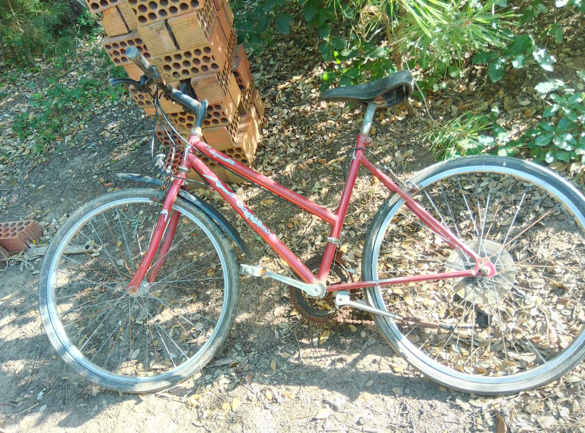 Bicicleta senhora