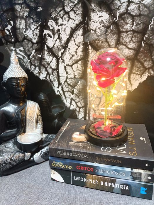 A Bela e o monstro Rosa eterna vermelha