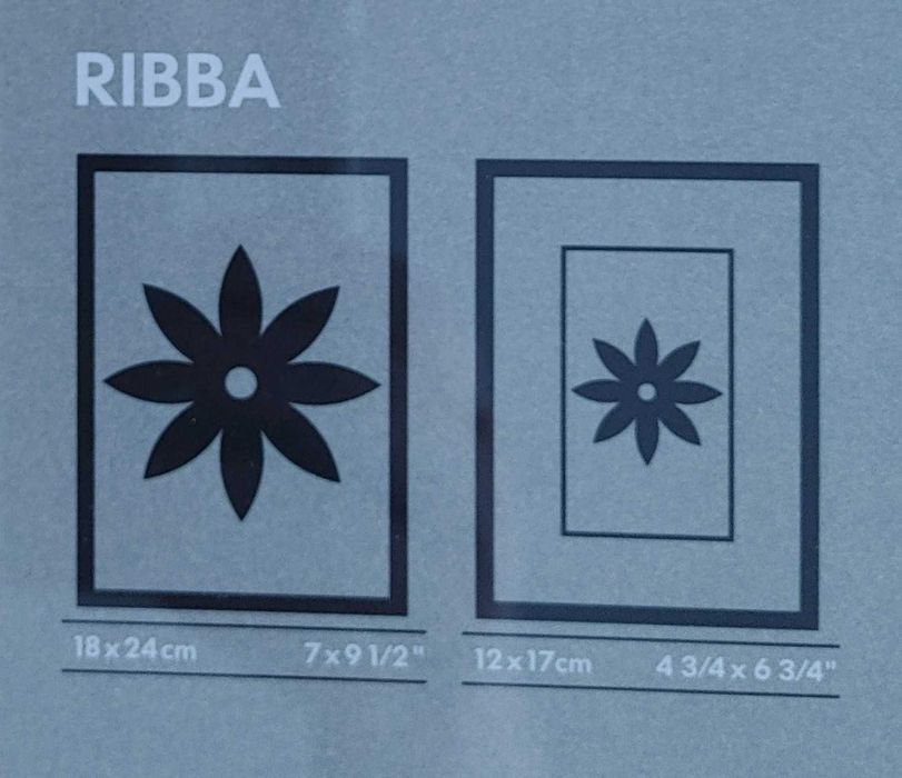 Moldura IKEA Ribba (I)